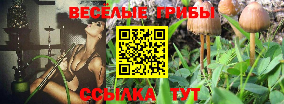 Галлюциногенные грибы MAGIC MUSHROOMS  Псилоцибиновые грибы мухоморы  Вход с VPN  Берёзовский 